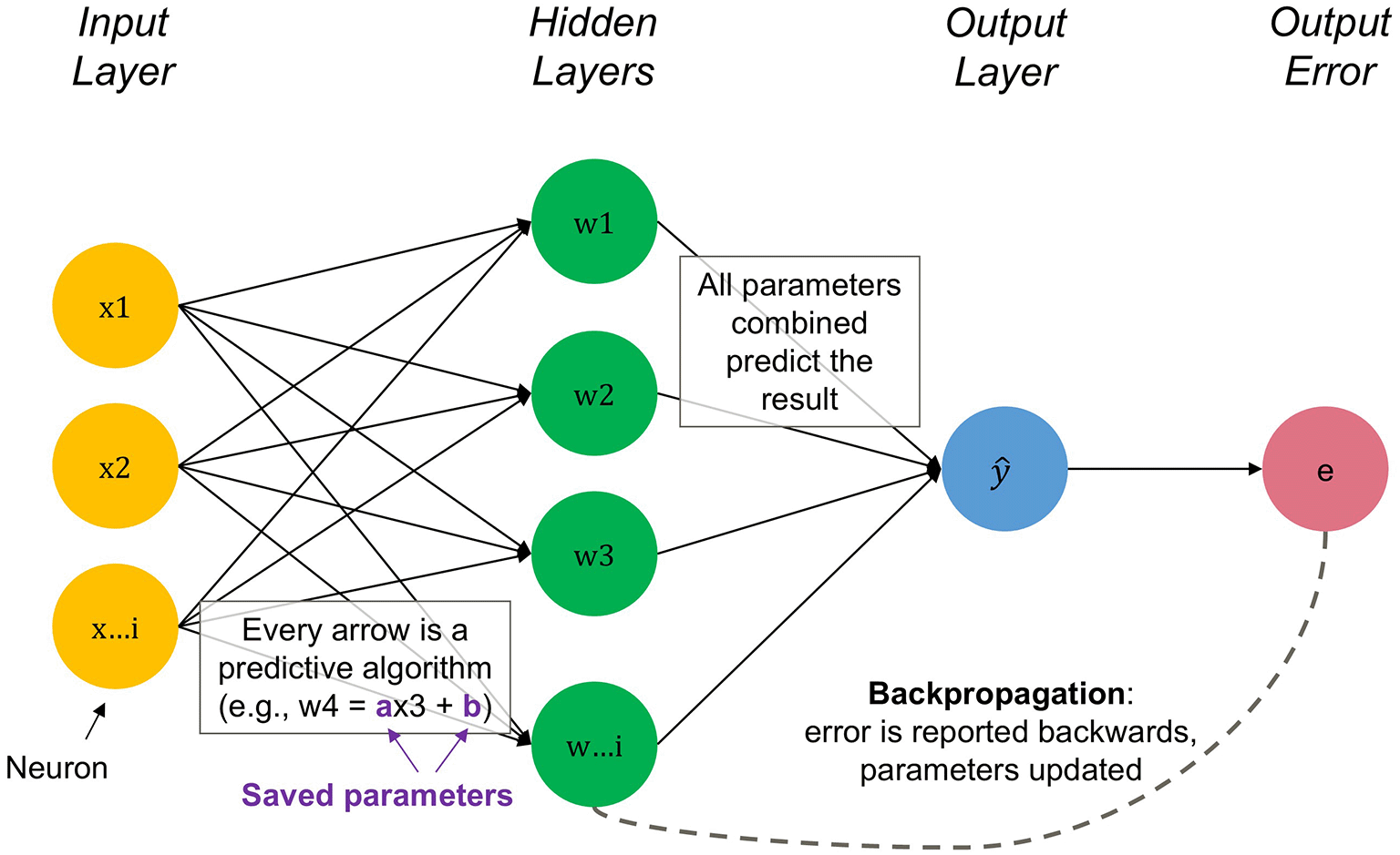A simplified artificial neural network showing its input, hidden layers, output, error, and backpropagation